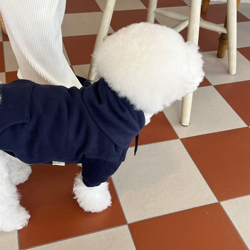 Hooded Sweater