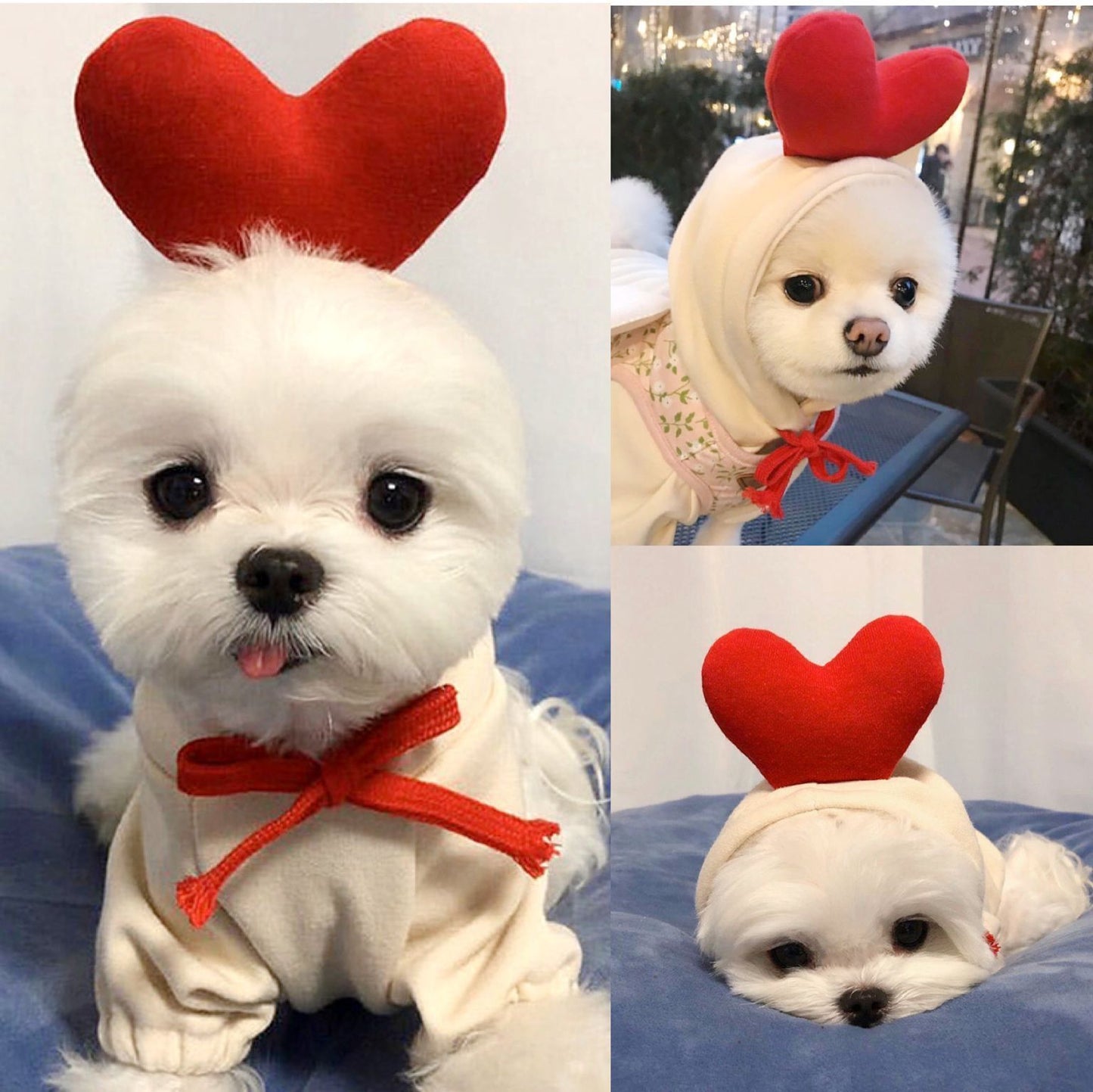 Cute Costume Hoodie