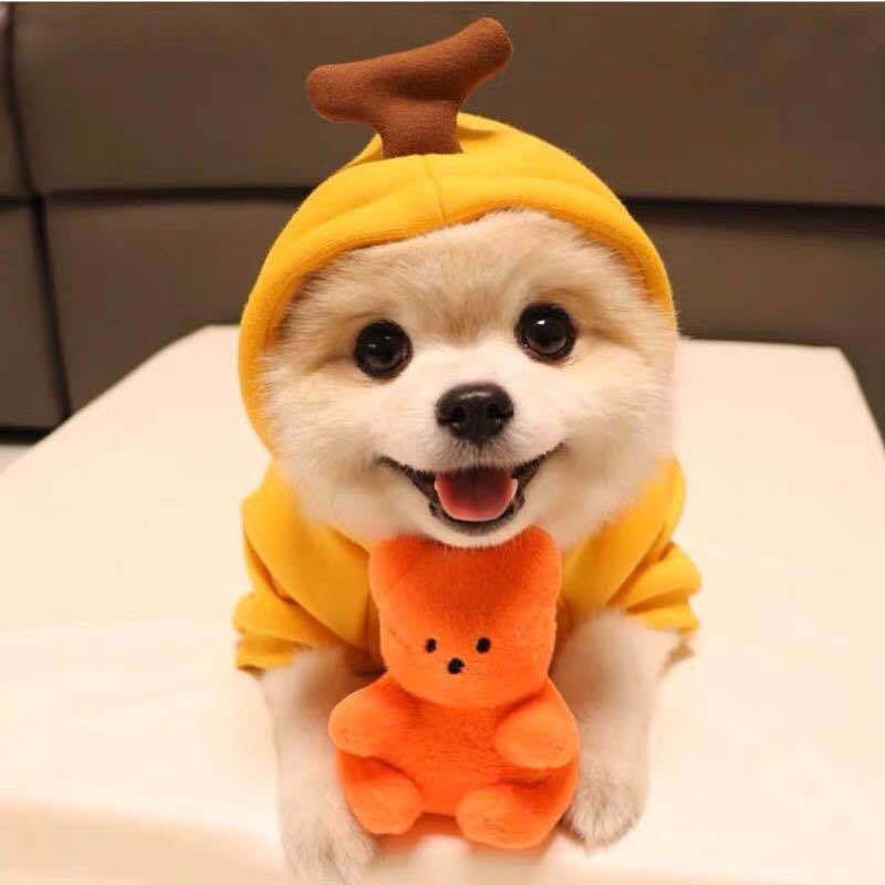 Cute Costume Hoodie
