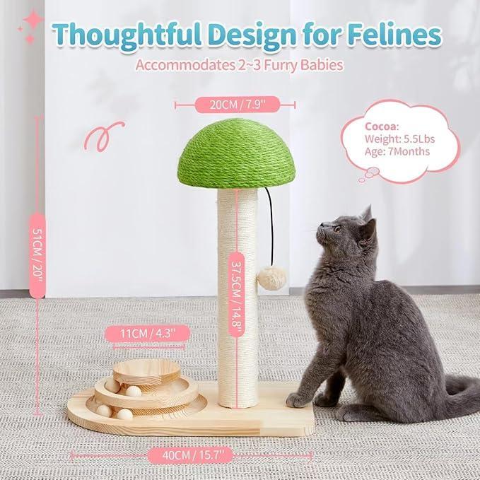 2 In 1 Wooden Interactive Ball Track Ball Cat Scratching Post