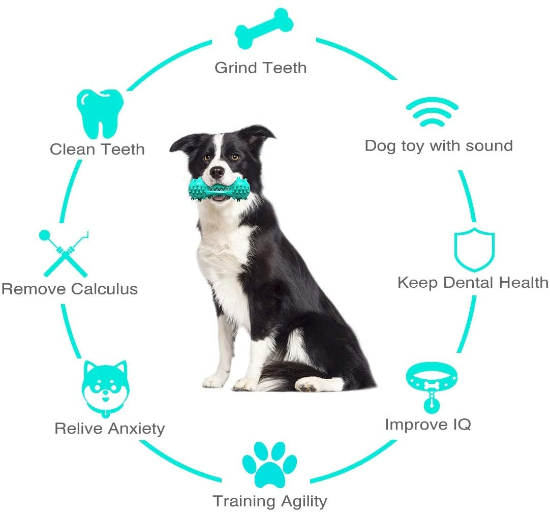 Dog Chew Toy