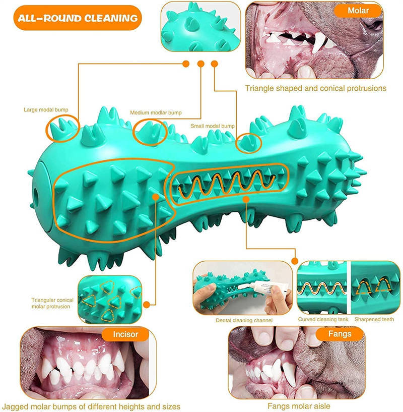 Dog Chew Toy