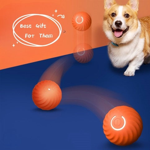 Rechargeable Rubber Ball