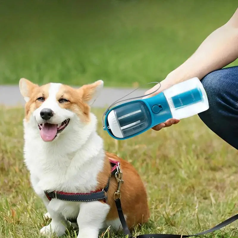 Portable Food and Water Cup