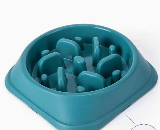Slow Feeding Bowl