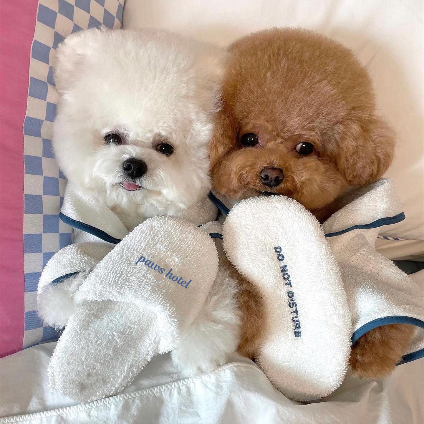 Pet Bathrobe