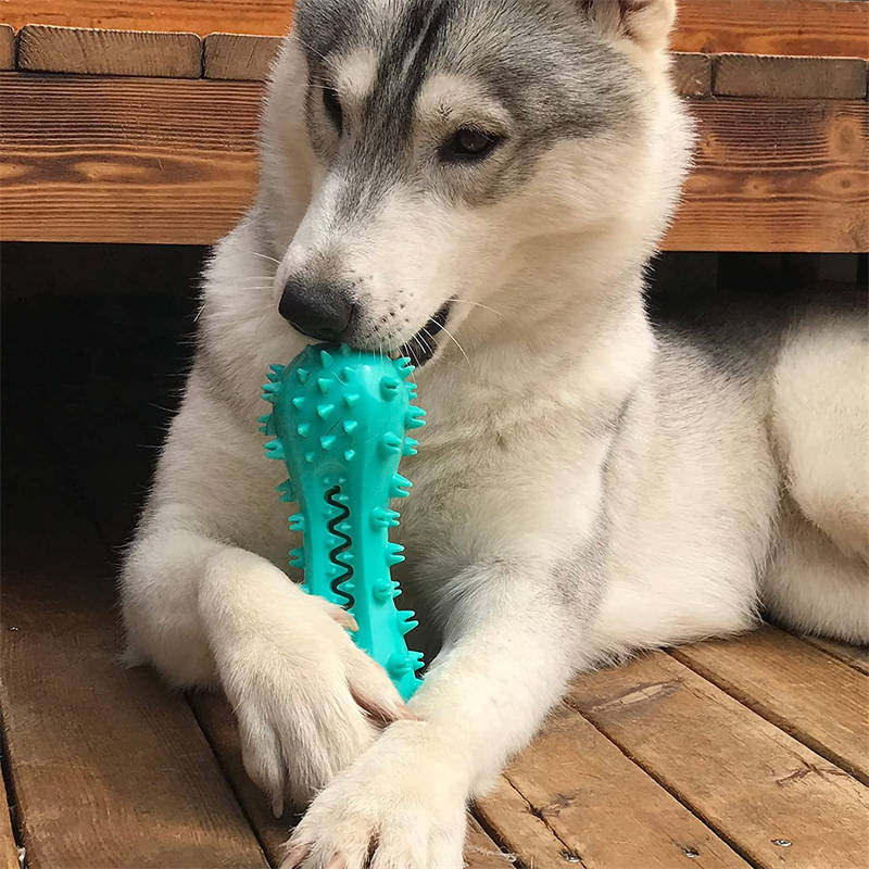 Dog Chew Toy