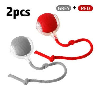 Interactive Toy Ball
