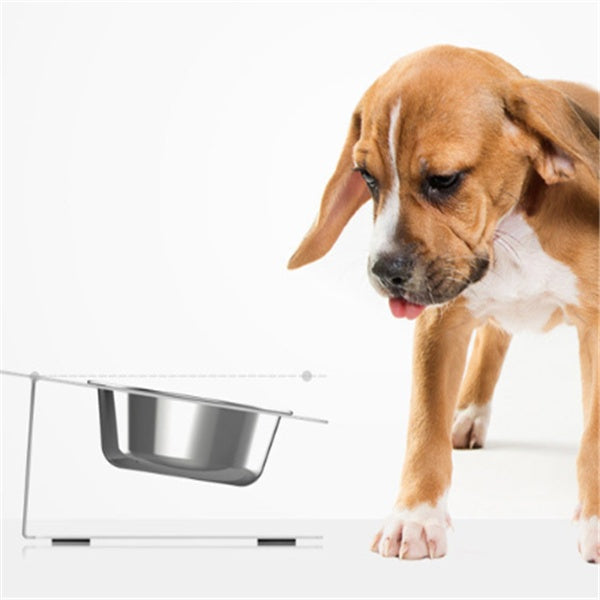Cut Pet Bowl Set