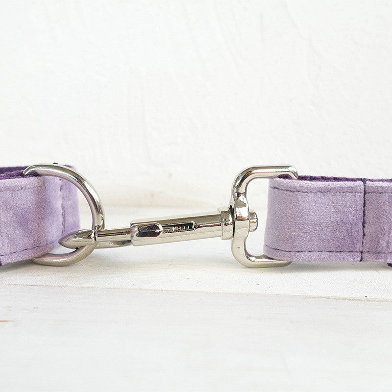 Adorable Leash And Collar