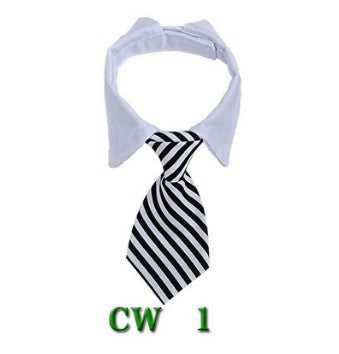 Cute Tie with Collar