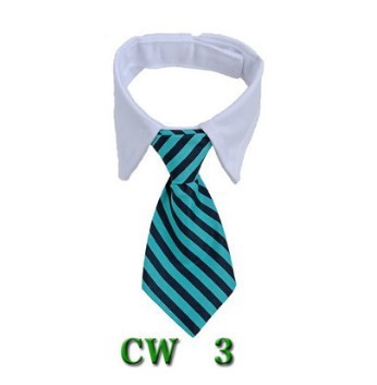 Cute Tie with Collar