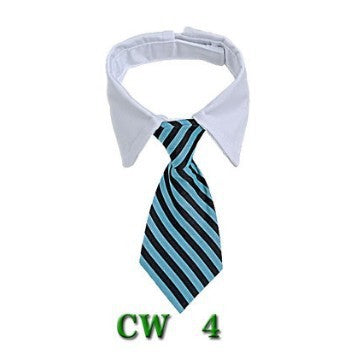 Cute Tie with Collar