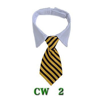 Cute Tie with Collar