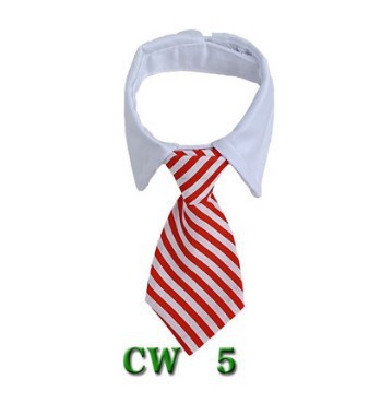 Cute Tie with Collar