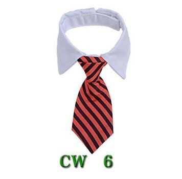 Cute Tie with Collar