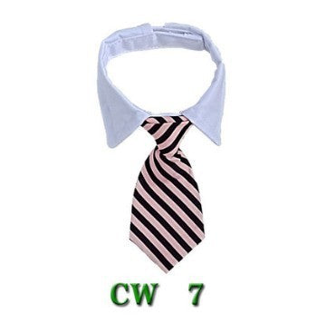Cute Tie with Collar