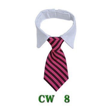 Cute Tie with Collar