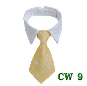 Cute Tie with Collar