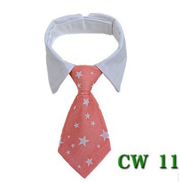 Cute Tie with Collar