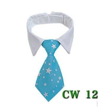Cute Tie with Collar