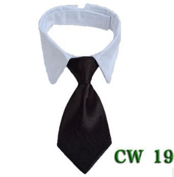 Cute Tie with Collar