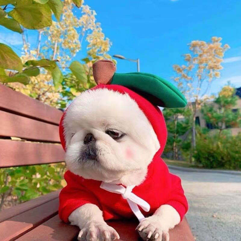 Cute Costume Hoodie