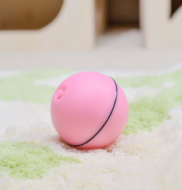 LED Rolling Toy Ball