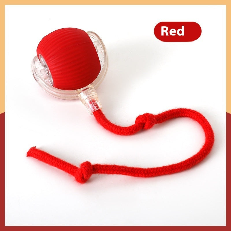 Interactive Toy Ball