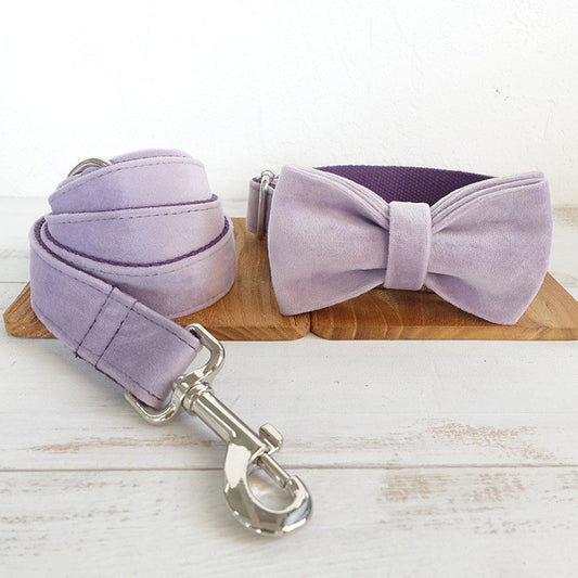 Adorable Leash And Collar