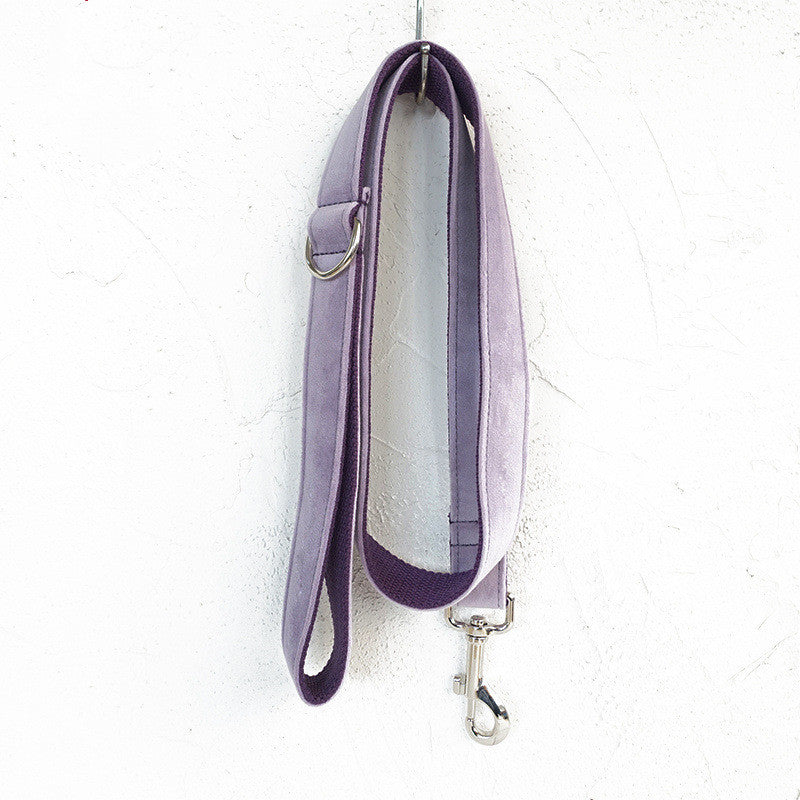 Adorable Leash And Collar