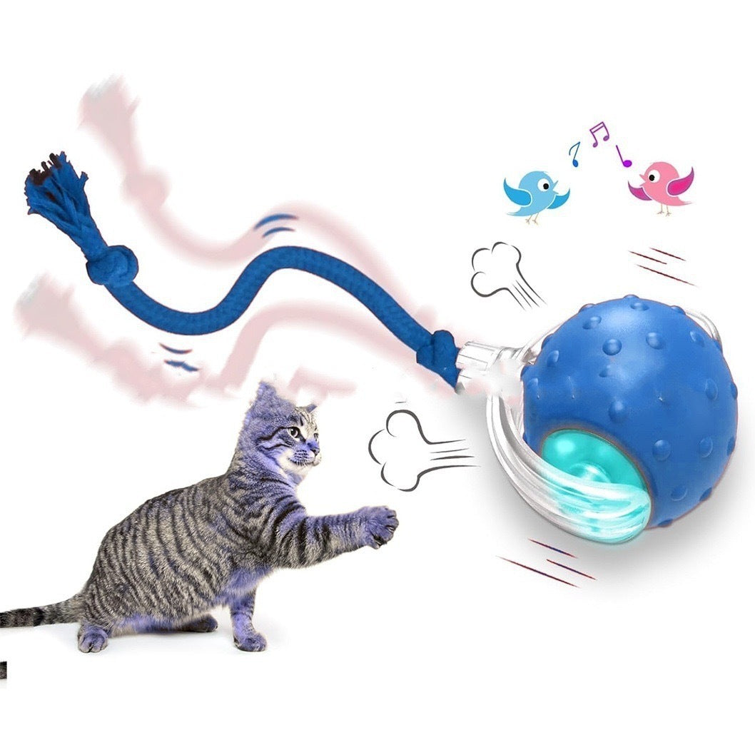 Interactive Toy Ball
