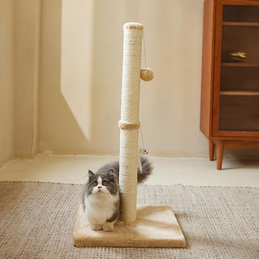 Scratch post with durable sisal rope