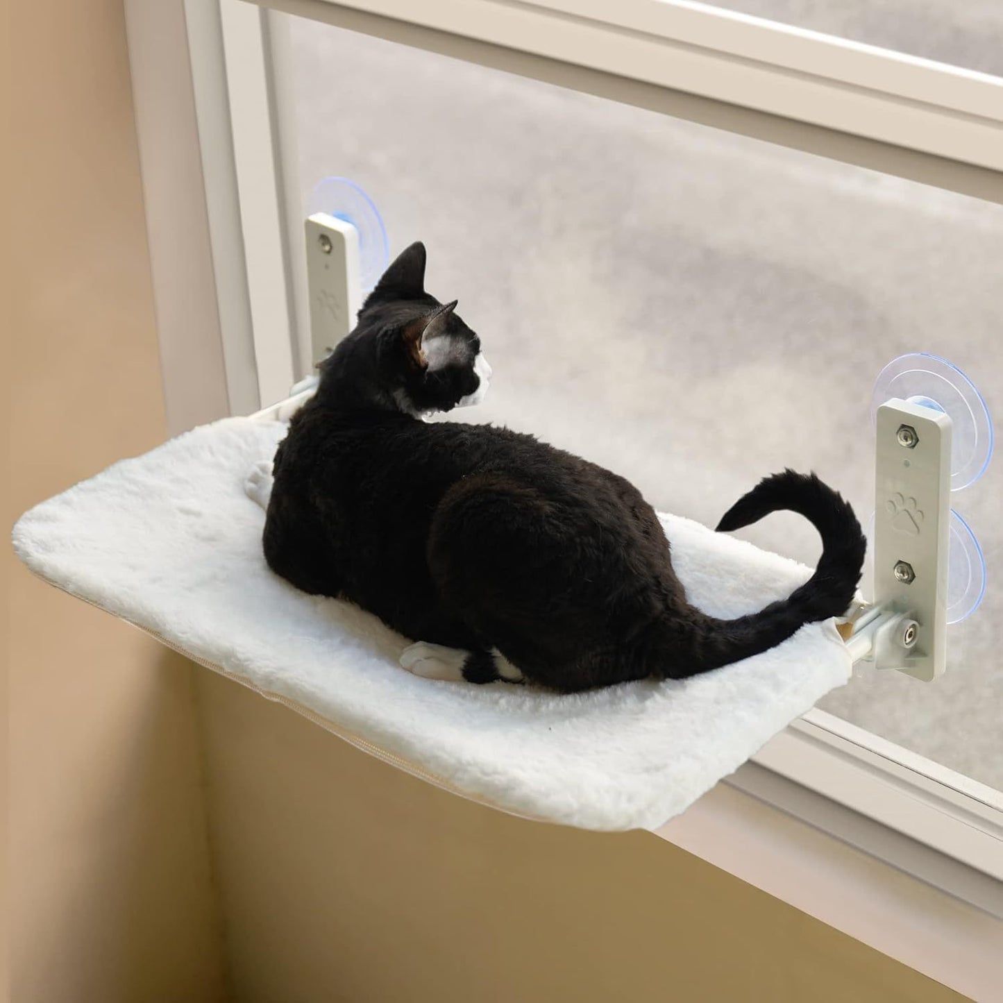 Cozy Window Hammock