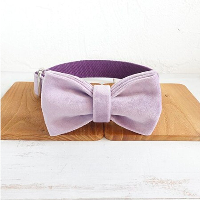 Adorable Leash And Collar