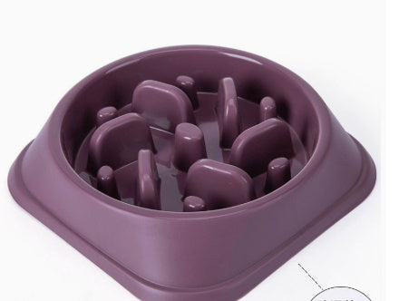 Slow Feeding Bowl