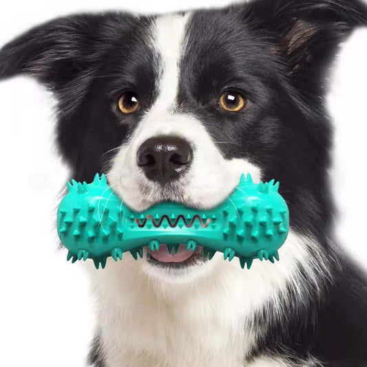 Dog Chew Toy