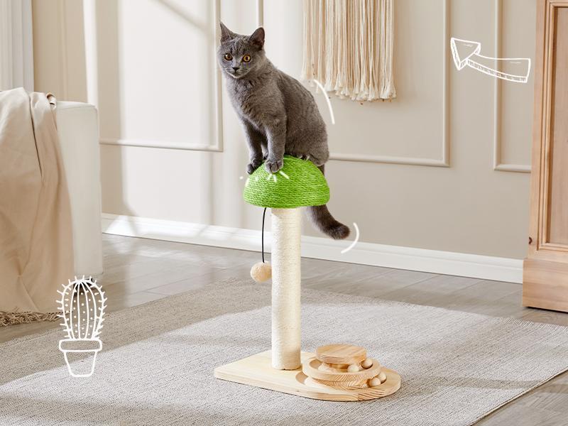 Mushroom Scratch Post