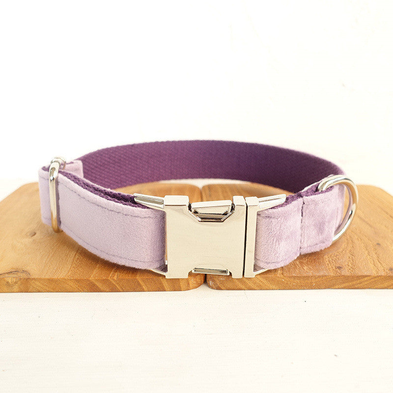 Adorable Leash And Collar