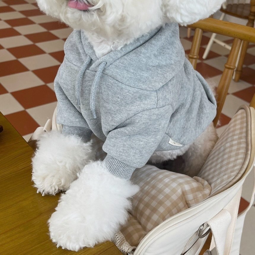 Hooded Sweater