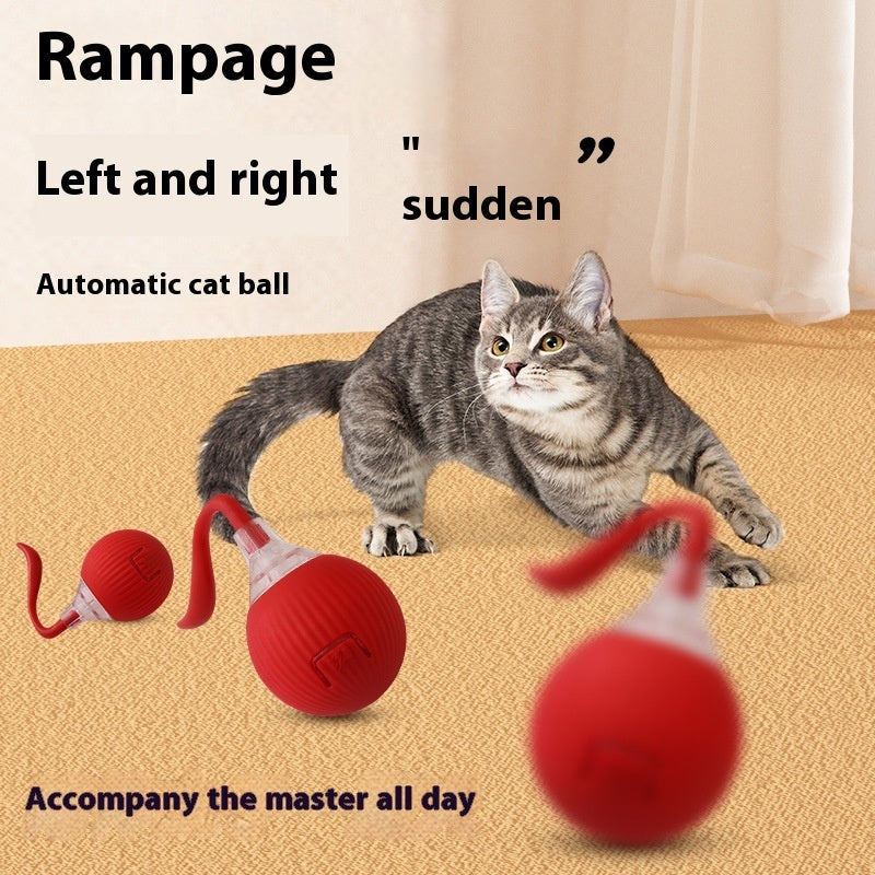 Interactive Toy Ball