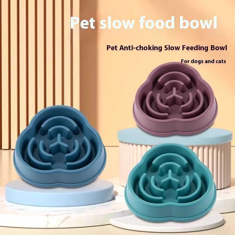 Slow Feeding Bowl