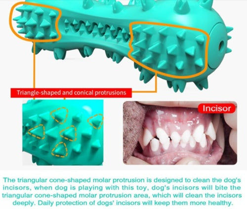 Dog Chew Toy