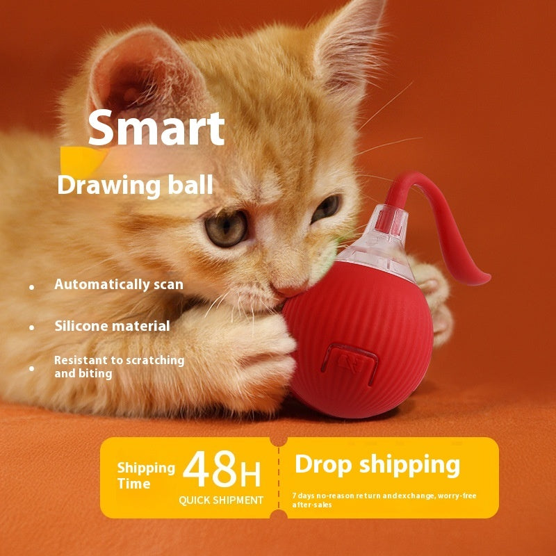 Interactive Toy Ball