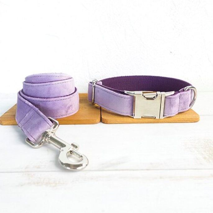 Adorable Leash And Collar