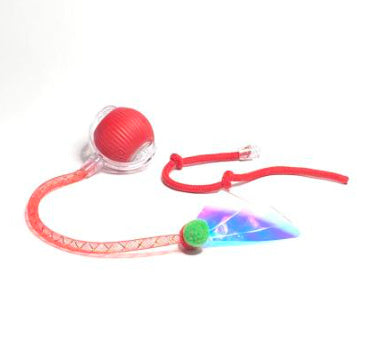 Interactive Toy Ball