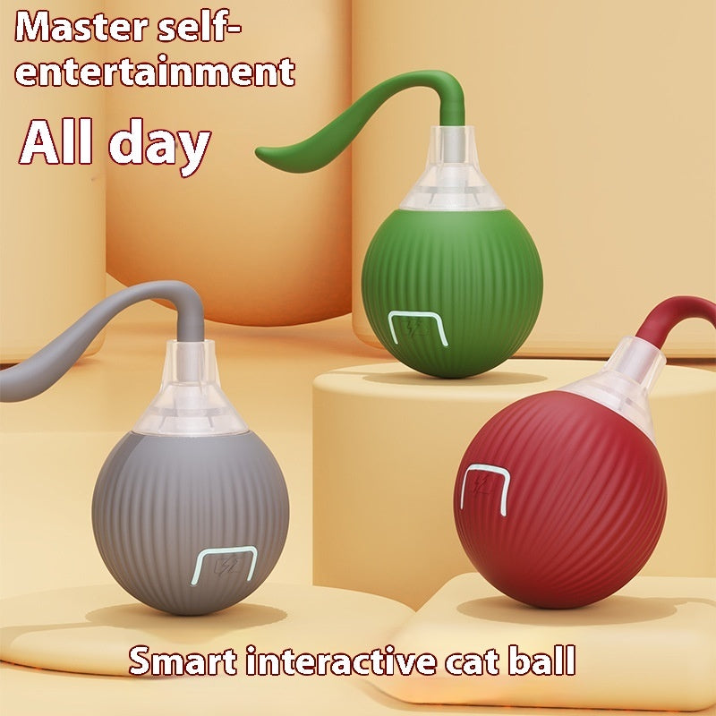 Interactive Toy Ball