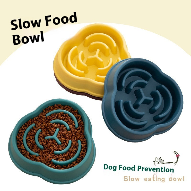 Slow Feeding Bowl