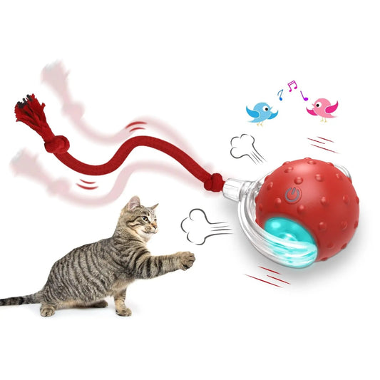 Interactive Toy Ball